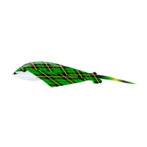 Tartan Eagle Ray